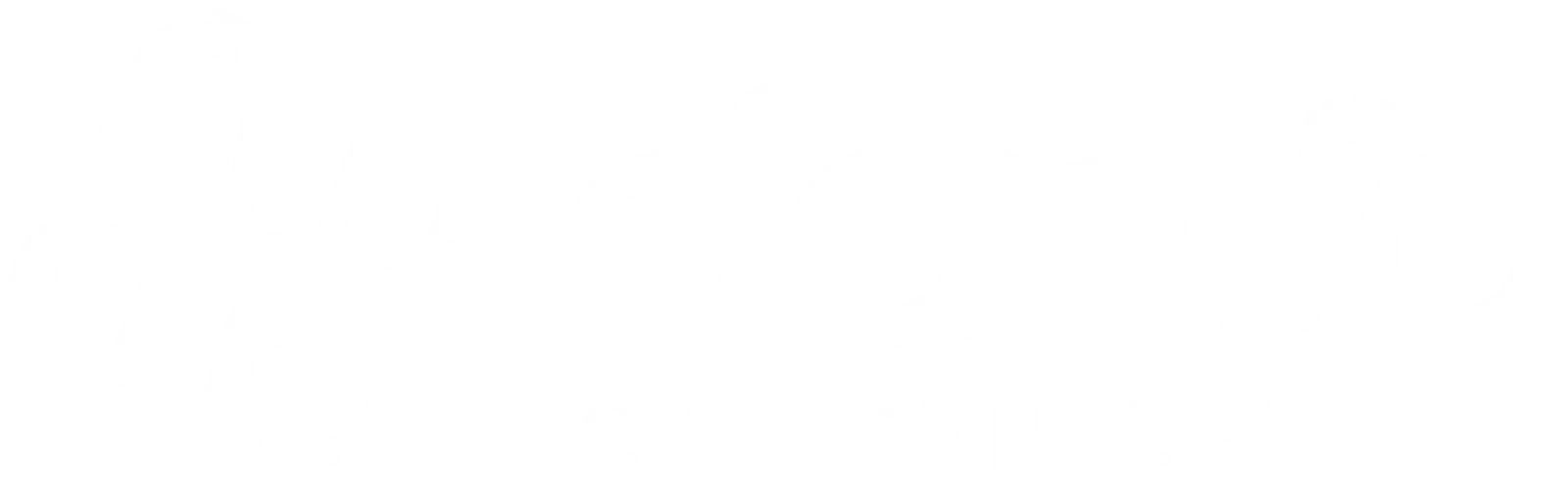 danja-white-logo-2048×643-1