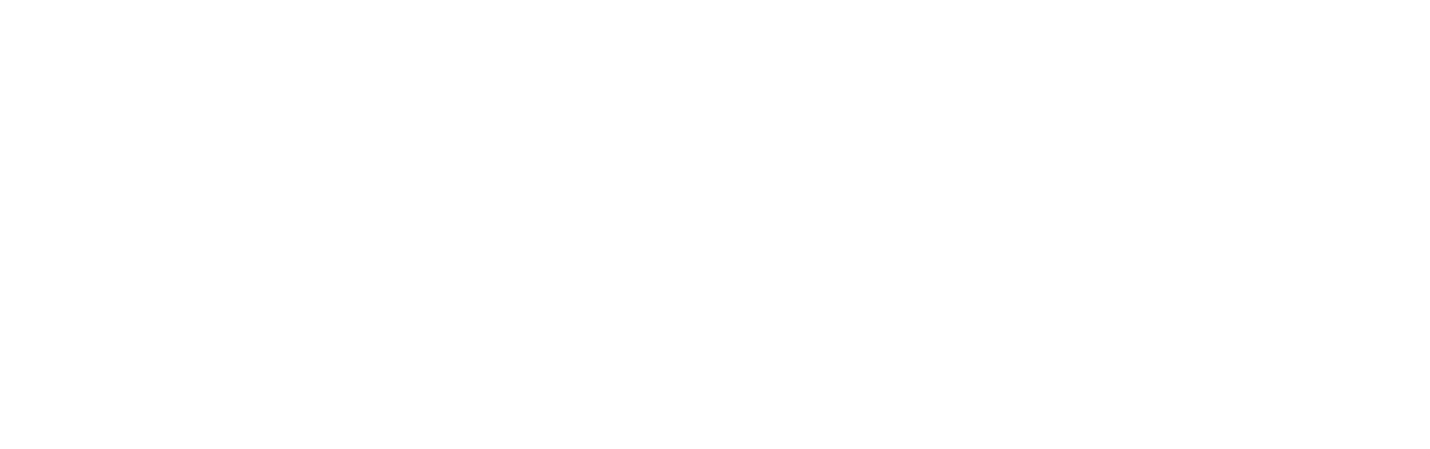 danja-white-logo-2048×643